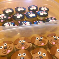 cupcakes  cat and dog