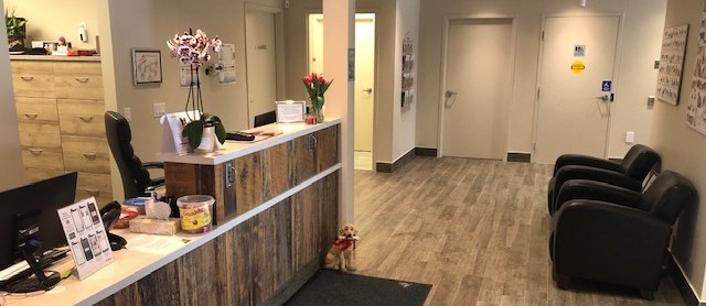 Reception Area