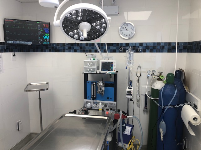 Surgery Room Surgery Room