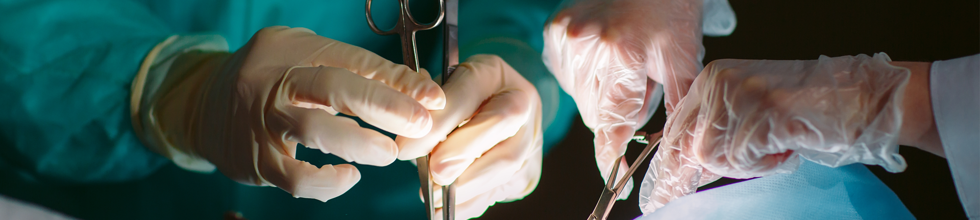 Pet Surgeons