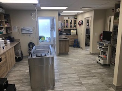 Treatment Area