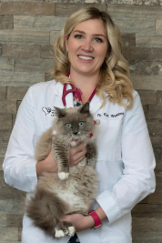 Dr. Kat Dr. Kat