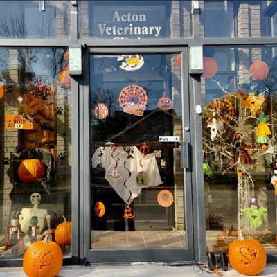 Halloween 2020 Door